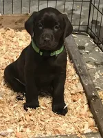 processed/c28deaef-cc0f-4775-9e89-0228158e50ab/facility/c1d2684c-3869-4dab-b897-cff547368fcf