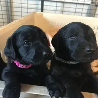 processed/c28deaef-cc0f-4775-9e89-0228158e50ab/facility/cb6c850f-758c-4acd-a557-d023c0ce68e0