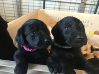 processed/c28deaef-cc0f-4775-9e89-0228158e50ab/facility/cb6c850f-758c-4acd-a557-d023c0ce68e0