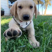 processed/c28deaef-cc0f-4775-9e89-0228158e50ab/facility/e3acbb17-a968-450e-be35-edc1e0a1ed0a