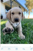 processed/c28deaef-cc0f-4775-9e89-0228158e50ab/facility/e3acbb17-a968-450e-be35-edc1e0a1ed0a