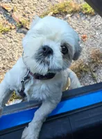 processed/c2907e4a-3126-466a-9ef9-f9ef8bdfa390/facility/86042c16-f168-49f6-81f7-a16cb46a4995