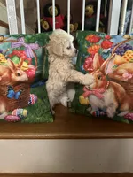 Murph, a male Maltese for sale in Hickory, NC – Photo 2 of 3