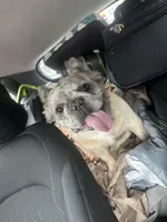 processed/c295e186-4617-4b8e-b05d-569a21e8467f/listing/6d08b7e0-a3ad-45bc-9195-f811c2423d3c/da6cb206-b886-4304-afce-f4bea866d172