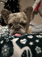 processed/c295e186-4617-4b8e-b05d-569a21e8467f/listing/6d08b7e0-a3ad-45bc-9195-f811c2423d3c/ef843692-7d42-4242-ab59-2cea17c287e3