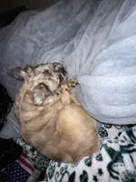 processed/c295e186-4617-4b8e-b05d-569a21e8467f/listing/6d08b7e0-a3ad-45bc-9195-f811c2423d3c/f87afe52-19a1-4f04-94cc-befe7059f42b