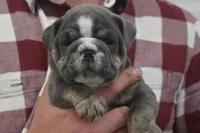 processed/c299d133-a97e-4536-b2f4-400fd831efdf/facility/74f1f13d-6351-4dcb-9e1e-2874d73d343c