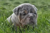 processed/c299d133-a97e-4536-b2f4-400fd831efdf/facility/7a62eb0a-a37d-48aa-bf3a-ee08fb9b1fbd