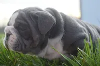 processed/c299d133-a97e-4536-b2f4-400fd831efdf/facility/db7bd935-1ce5-4d16-ba0d-0e59ce1d75b6