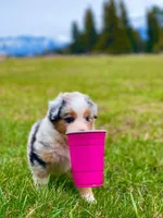 processed/c29cc345-ac62-4857-a5ee-4e1b3c337562/facility/1f0e12b6-9e4a-483e-9e16-cce518a72ce9