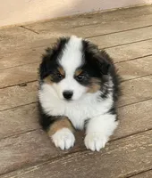 processed/c29cc345-ac62-4857-a5ee-4e1b3c337562/facility/1fca3311-d8aa-4fd9-8357-2feaca72fc22