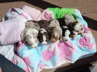 processed/c29cc345-ac62-4857-a5ee-4e1b3c337562/facility/31d5fdff-dce4-422e-95fa-a6f9add74eff