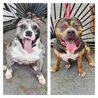 processed/c2a69577-820c-42c8-93e0-de5be6513e0f/listing/ce8aecaa-6723-4d2a-a146-d79d688f57d2/74cdc13f-0126-4ab4-9d1d-63edc171b8e4