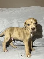 processed/c2b09b62-ed35-4352-ad43-7c4d9ee0a11f/listing/2ad3a85b-e887-4063-aa8c-d8329c87705d/8f553ba1-4252-4469-8e4a-b5aaff3a33fa