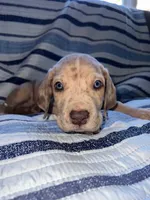 processed/c2b09b62-ed35-4352-ad43-7c4d9ee0a11f/listing/2ad3a85b-e887-4063-aa8c-d8329c87705d/dd2e21b3-5ee3-473f-8b11-30742eef10d4