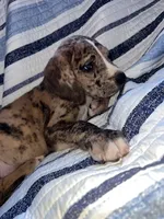 processed/c2b09b62-ed35-4352-ad43-7c4d9ee0a11f/listing/7a2c9433-4be3-41eb-91bd-4fa2269411a7/1c1dc3ef-ac94-4f05-9388-f100b3ac1c0f