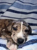 processed/c2b09b62-ed35-4352-ad43-7c4d9ee0a11f/listing/7a2c9433-4be3-41eb-91bd-4fa2269411a7/8fb77f7e-be29-4e5e-8886-0a5712a24b2b