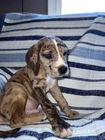 processed/c2b09b62-ed35-4352-ad43-7c4d9ee0a11f/listing/7a2c9433-4be3-41eb-91bd-4fa2269411a7/a25ac86d-eb00-42da-9425-ef58f800ec15