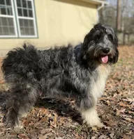 processed/c2b48d4d-4ab9-4aae-a88b-b1d952c2185e/listing/89d7ffd6-d83b-49c2-a267-c592b79c9c16/121daa3b-e28f-49fb-b507-fda1dc7f8d18