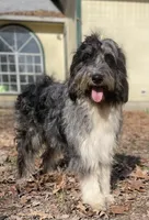 processed/c2b48d4d-4ab9-4aae-a88b-b1d952c2185e/listing/89d7ffd6-d83b-49c2-a267-c592b79c9c16/6285467e-9a4e-4ad9-8b14-a47c9461b6f1