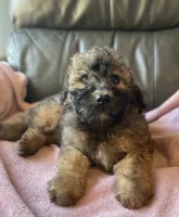 processed/c2b48d4d-4ab9-4aae-a88b-b1d952c2185e/listing/e2fd70f9-7f67-4e16-b59e-9baa98e06ef2/5218df86-e260-4b4a-a824-1fed72f46f2c