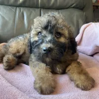 processed/c2b48d4d-4ab9-4aae-a88b-b1d952c2185e/listing/e2fd70f9-7f67-4e16-b59e-9baa98e06ef2/62c7ce09-7c6e-45dc-8b01-25e4d41981ff