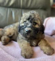 processed/c2b48d4d-4ab9-4aae-a88b-b1d952c2185e/listing/e2fd70f9-7f67-4e16-b59e-9baa98e06ef2/73d57a79-75bb-4aa8-9f22-8265e2d1a84c