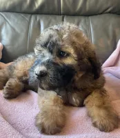 processed/c2b48d4d-4ab9-4aae-a88b-b1d952c2185e/listing/e2fd70f9-7f67-4e16-b59e-9baa98e06ef2/76672863-b4f7-4b95-b964-49ee96803de8