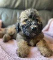 processed/c2b48d4d-4ab9-4aae-a88b-b1d952c2185e/listing/e2fd70f9-7f67-4e16-b59e-9baa98e06ef2/76d8f538-4f68-417f-bf97-a5338fa9513b