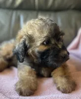 processed/c2b48d4d-4ab9-4aae-a88b-b1d952c2185e/listing/e2fd70f9-7f67-4e16-b59e-9baa98e06ef2/83acbecb-4455-4ba8-a690-fc55771e0576