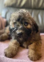 processed/c2b48d4d-4ab9-4aae-a88b-b1d952c2185e/listing/e2fd70f9-7f67-4e16-b59e-9baa98e06ef2/8acabed4-41b8-458b-bf2b-2f204792b723