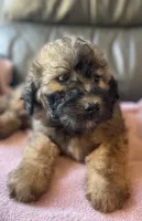 processed/c2b48d4d-4ab9-4aae-a88b-b1d952c2185e/listing/e2fd70f9-7f67-4e16-b59e-9baa98e06ef2/c54efab3-a21c-4122-9e7c-005f0bebda6e