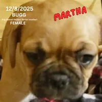 processed/c2b6c220-3f87-460d-8207-64a7112b3fff/listing/2c9a5d5e-5dd3-4786-88b0-ceae78d8649b/273427f8-c6da-42eb-ba82-4f6b098015c5