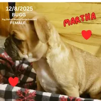 processed/c2b6c220-3f87-460d-8207-64a7112b3fff/listing/2c9a5d5e-5dd3-4786-88b0-ceae78d8649b/3545056b-5158-4f74-b971-5fb86470dc69