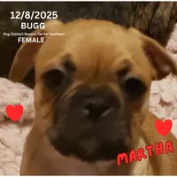 processed/c2b6c220-3f87-460d-8207-64a7112b3fff/listing/2c9a5d5e-5dd3-4786-88b0-ceae78d8649b/7d3eb7ac-33d9-4d14-bf4a-7a39ce3a3640