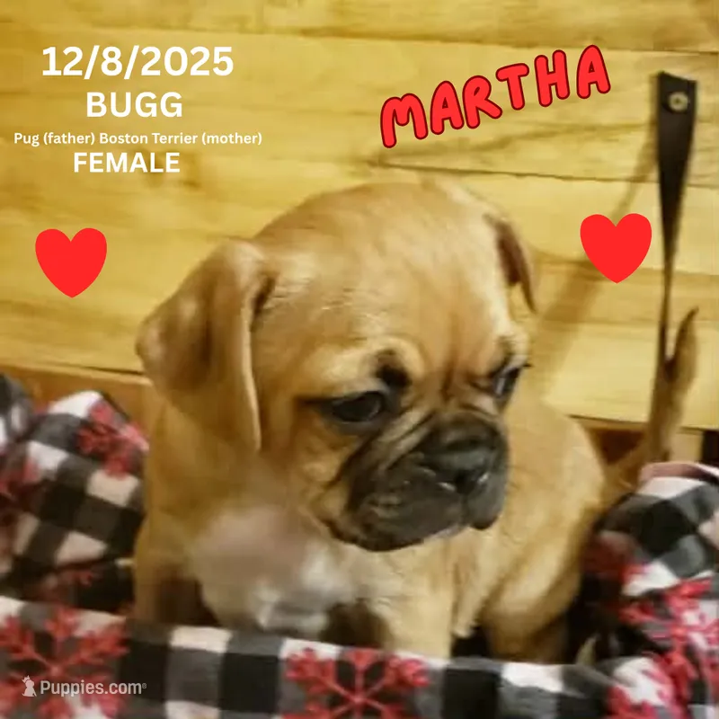 Martha