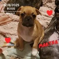 processed/c2b6c220-3f87-460d-8207-64a7112b3fff/listing/2c9a5d5e-5dd3-4786-88b0-ceae78d8649b/c039a454-4792-4339-b1c6-7fbf0e6c1f31