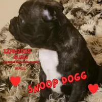 processed/c2b6c220-3f87-460d-8207-64a7112b3fff/listing/b0008c72-a20c-462d-b07b-6360c4ca7953/0b49358c-2116-4a9a-8d70-b1d7061fc3c2