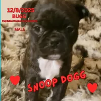 processed/c2b6c220-3f87-460d-8207-64a7112b3fff/listing/b0008c72-a20c-462d-b07b-6360c4ca7953/1d0bb02b-b57a-490e-b626-94ba53b26e11