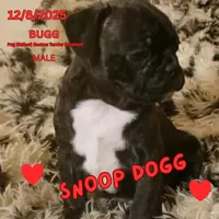 processed/c2b6c220-3f87-460d-8207-64a7112b3fff/listing/b0008c72-a20c-462d-b07b-6360c4ca7953/3eda7899-d617-4cf4-843c-f7fdb766855c