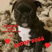 processed/c2b6c220-3f87-460d-8207-64a7112b3fff/listing/b0008c72-a20c-462d-b07b-6360c4ca7953/9b6d1377-4014-4731-bc33-69f0d074707c