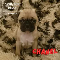 processed/c2b6c220-3f87-460d-8207-64a7112b3fff/listing/ba1908a9-e398-43d5-b563-5dafa4195f7c/485f3da8-618e-40fb-b810-1b1bdba78ebd