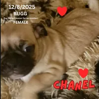 processed/c2b6c220-3f87-460d-8207-64a7112b3fff/listing/ba1908a9-e398-43d5-b563-5dafa4195f7c/77157dfb-c7ee-4727-82b4-b05ae8c297c4