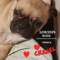 processed/c2b6c220-3f87-460d-8207-64a7112b3fff/listing/ba1908a9-e398-43d5-b563-5dafa4195f7c/7876d0ca-303e-488b-92df-b7c2ebcdcd20