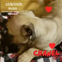 processed/c2b6c220-3f87-460d-8207-64a7112b3fff/listing/ba1908a9-e398-43d5-b563-5dafa4195f7c/9c82b42e-7792-4b31-b581-a822eb172247