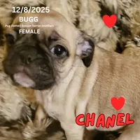 processed/c2b6c220-3f87-460d-8207-64a7112b3fff/listing/ba1908a9-e398-43d5-b563-5dafa4195f7c/b8548602-9e39-4008-95b9-9d36c378fbcd