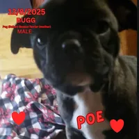 processed/c2b6c220-3f87-460d-8207-64a7112b3fff/listing/c74c7d9e-6357-4ee4-bb9c-2e179c18b9bd/28963bcc-d573-4eea-bd5f-57af604cb1dc