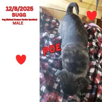 processed/c2b6c220-3f87-460d-8207-64a7112b3fff/listing/c74c7d9e-6357-4ee4-bb9c-2e179c18b9bd/28b52a91-c1a8-4a21-a652-7abe3cfb135b