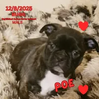 processed/c2b6c220-3f87-460d-8207-64a7112b3fff/listing/c74c7d9e-6357-4ee4-bb9c-2e179c18b9bd/2af3b013-e128-405d-8046-c2db94645f19