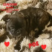 processed/c2b6c220-3f87-460d-8207-64a7112b3fff/listing/c74c7d9e-6357-4ee4-bb9c-2e179c18b9bd/2cc3adc1-5455-4f3a-bfc4-00f9a282218b